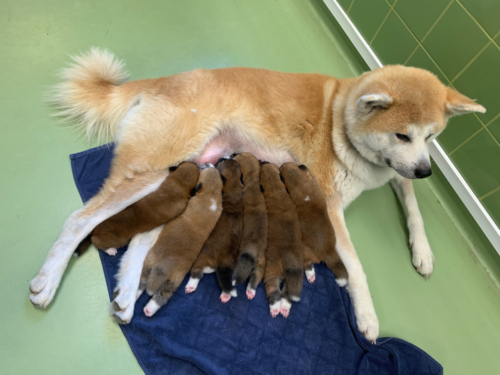 Getrunken kann überall werden